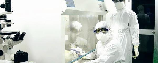 生物安全與生物技術開發 定義、挑戰與前景