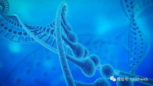 加立生物沖刺港股 9個月虧損4433萬，林帝邦為大股東，生物技術(shù)開發(fā)成焦點(diǎn)