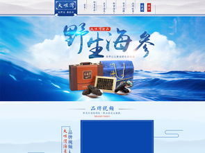 海參海鮮PSD設(shè)計(jì)素材 提升天貓?zhí)詫氻?yè)面視覺(jué)層次的專(zhuān)業(yè)工具